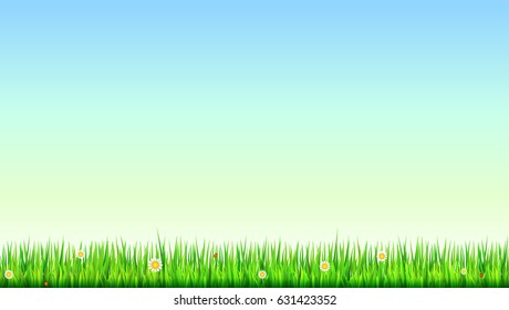 Green, natural grass border with white daisies, camomile flower and small red ladybug. Template for your design or creativity.