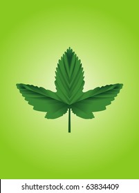 green natural leaf