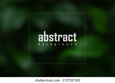 green natural leaf background photograph