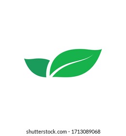 Green natural leaf drawing, vector