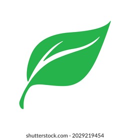 Green natural leaf drawing, vector