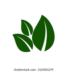 Green natural leaf drawing, vector