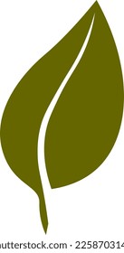 Dibujo de hoja verde natural, vector