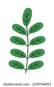 green natural leaf icon isolated