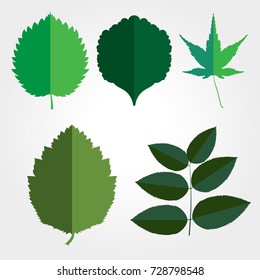 Green natural leaves illustration