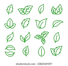 Green natural linear icons leaves, sprig and branches of plants set silhouettes
