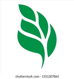 Green natural logo design vector template. Leaf icon