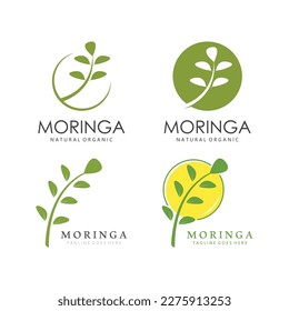 Icono de la hoja verde de Moringa Natural aislado en fondo blanco.