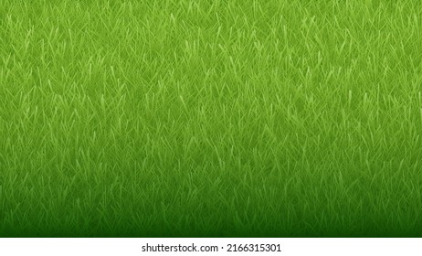 Green natural organic grass background and texture. Vector illustration