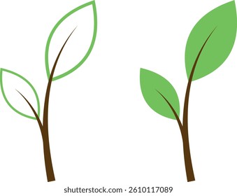 Green Natural Plant Leaf Vector Design