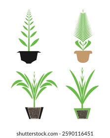 Green natural plants  vector art and graphics design.   
