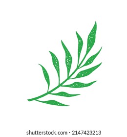 Green natural vegetation with leaves and stem eucalyptus branch grunge texture vector illustration. Minimalist hand drawn nature plant, rainforest fern or paradise palm tree decorative design isolated