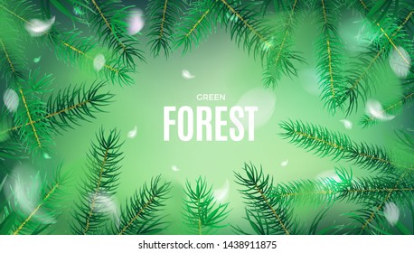 Green nature abstract background with fir tree leaves vector design