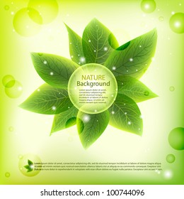 green nature background