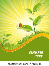 green nature background