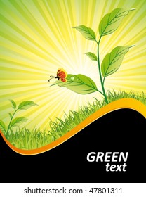 green nature background