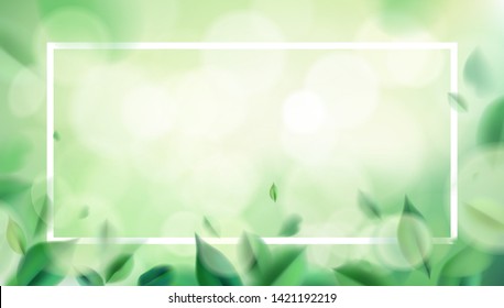Green nature background with blurred spring leaves and white frame vector illustration