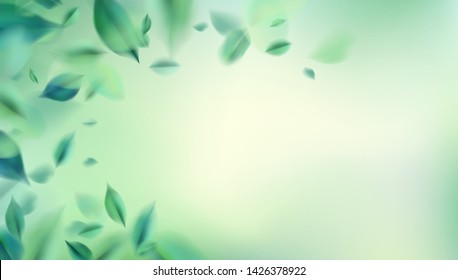 Green nature background with blurred spring leaves vector illustration