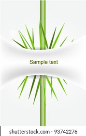 Green nature background with copy space