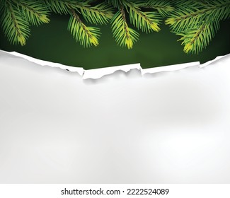 green nature background with firs and paper template