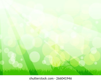 green nature background with sun rays, vector illustration