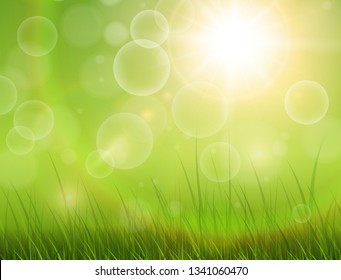 Green nature background, sunny with grass as spring vector background.