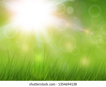 Green nature background, sunny with grass as spring vector background.