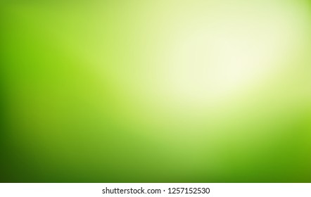 Green nature blurred background.   Abstract gradient backdrop with light space for text. Vector illustration. Ecology concept for your graphic design, banner or poster