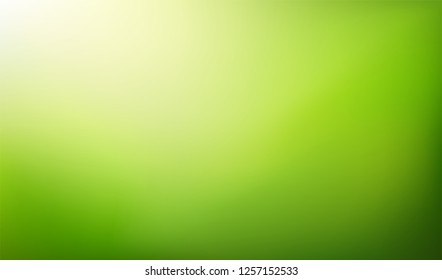 Green nature blurred background.   Abstract gradient backdrop with light space for text. Vector illustration. Ecology concept for your graphic design, banner or poster