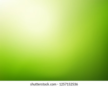 Green nature blurred background.   Abstract gradient backdrop with light space for text. Vector illustration. Ecology concept for your graphic design, banner or poster