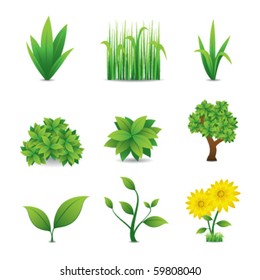 green nature elements