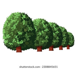 Green nature grows in a forest landscape over white