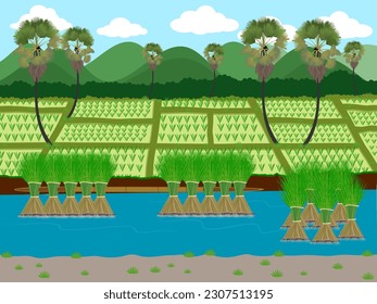 Green nature landscape with Paddy jasmine rice field in thailand.