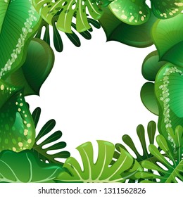 A green nature leaf border illustration