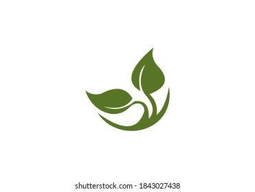 green nature leaf vector design