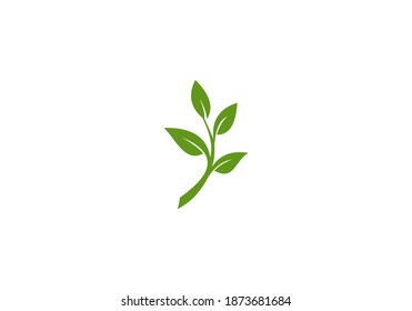green nature leaf vector design