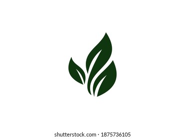 green nature leaf vector design