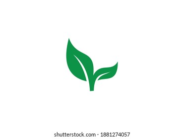 green nature leaf vector design