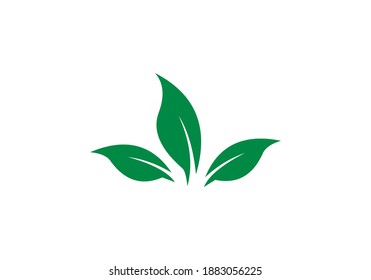 diseño de vectores de hoja de naturaleza verde
