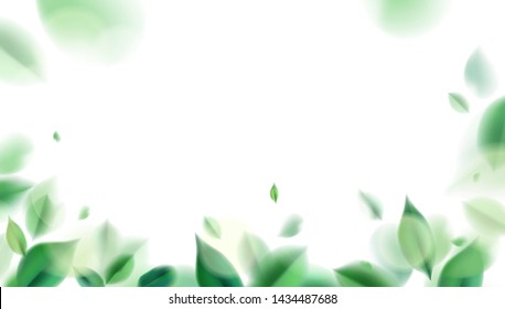 Green nature leaves on white background vector isolated elements design