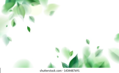 Green nature leaves on white background vector isolated elements design