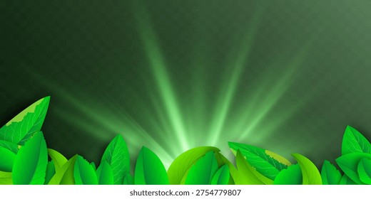 Green Nature Light Rays Background