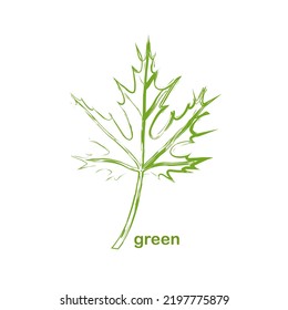 logo verde