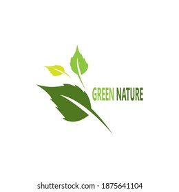 Green nature logo vector template