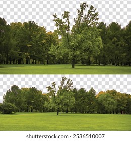 green nature on transparent background