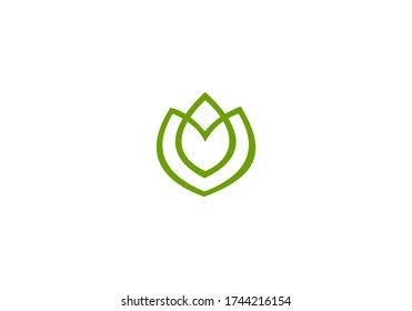 green nature plant vector design