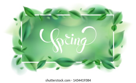 Green nature spring leaves background and white frame vector illustration design elements