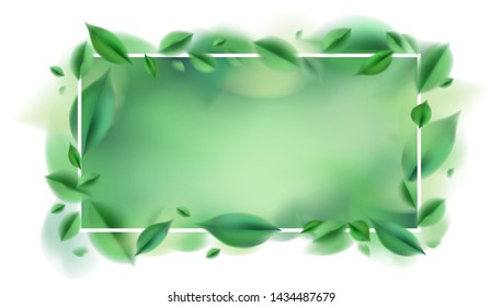 Green nature spring leaves background and white frame vector illustration design elements