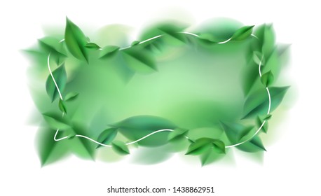 Green nature spring leaves background and white frame vector illustration design elements