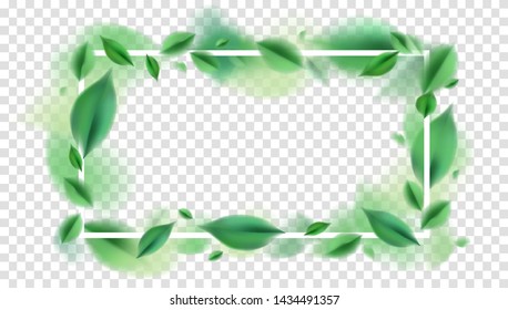Green nature spring leaves and white frame vector illustration design elements